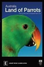 Австралия: страна попугаев - 